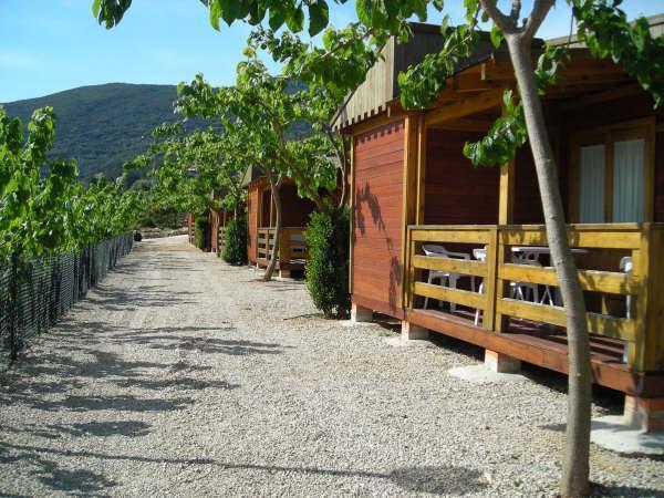 Cabanas Y Bungalows La Falaguera Bárig Exterior photo